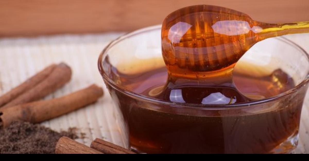 Ampuh Jadi Obat Alami, Inilah Manfaat Madu Klanceng yang Bagus Untuk Kesehatan dan Penyembuh Lukaan