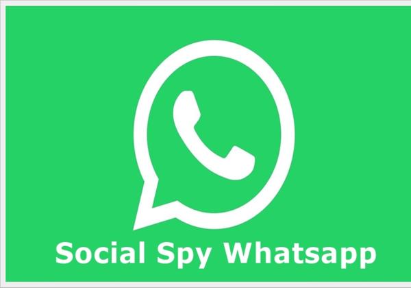 Cara Bongkar Riwayat Chat Pakai Social Spy Whatsapp, Klik di Sini Lengkap dengan Link Akses
