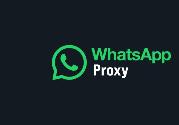 Simak Cara Setting Proxy WhatsApp Android dan iPhone DISINI!, Bisa Kirim Pesan Meski Tak Ada Jaringan Internet