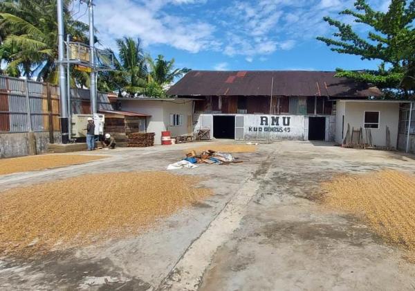 Electrifying Agriculture PLN Mampu Tekan Biaya Usaha Penggilingan Padi di Sumbar Hingga Puluhan Juta
