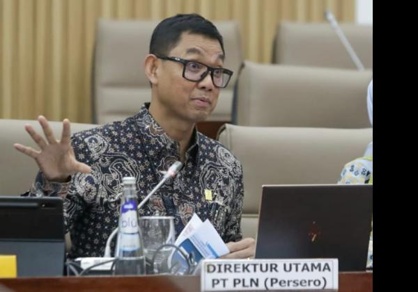 Komisi VI DPR RI Dukung PLN Wujudkan Sinergi BUMN dalam Transisi Energi