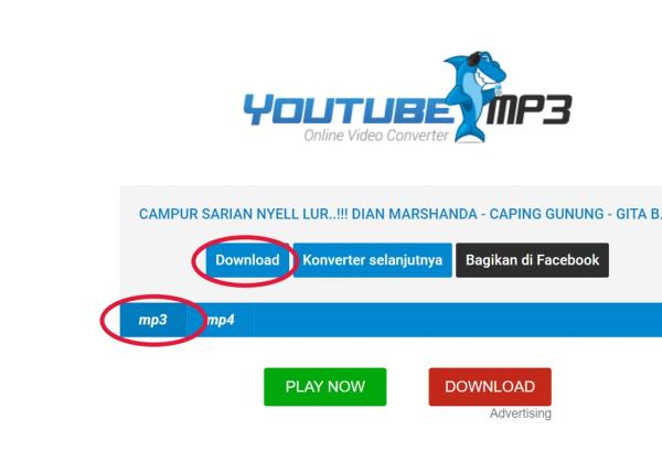 Cara Download Mp3 dari Youtube Pakai YT Convert, Mp4 to Mp3 Free