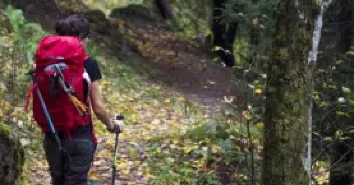 Bahaya Kaos Katun di Jalur Pendakian: Kenali Sebelum Berangkat