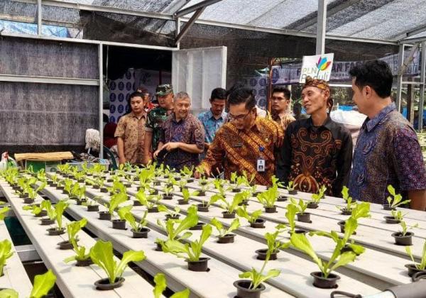 Omzet Petani Lele di Tangerang Naik 4 Kali Lipat Berkat Dukungan PLN Peduli