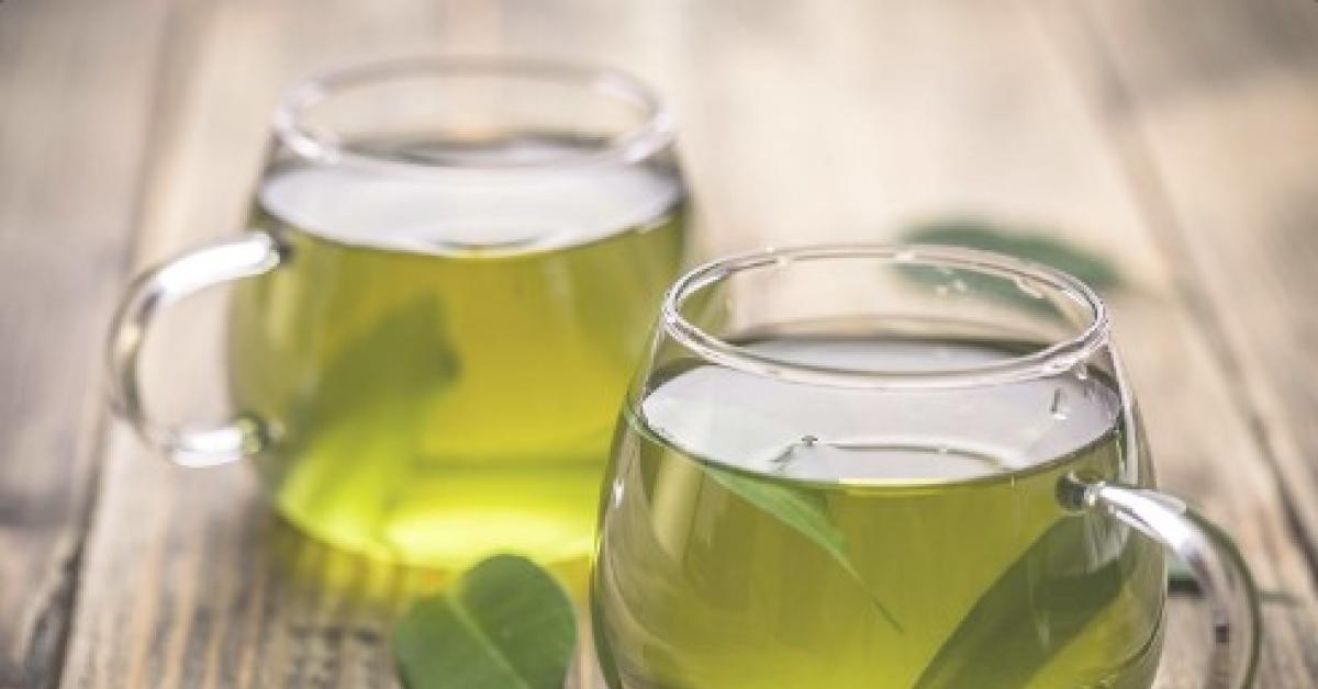 Jangan Asal, Inilah Cara Tepat Minum Teh Hijau Agar Khasiatnya Tidak Hilang
