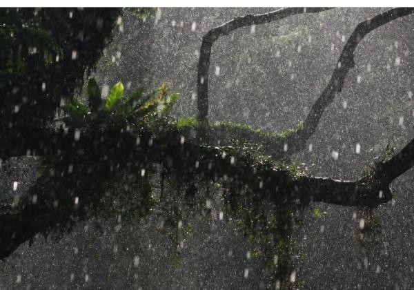BBMKG Minta Warga Waspadai Hujan Lebat Disertai Angin Kencang dan Petir di Sumut