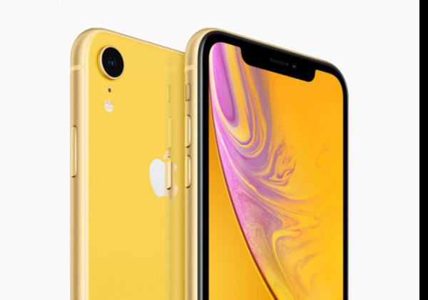 Harga iPhone XR Turun 50 Persen Dibanding Awal Rilis, Cek Harga di Sini