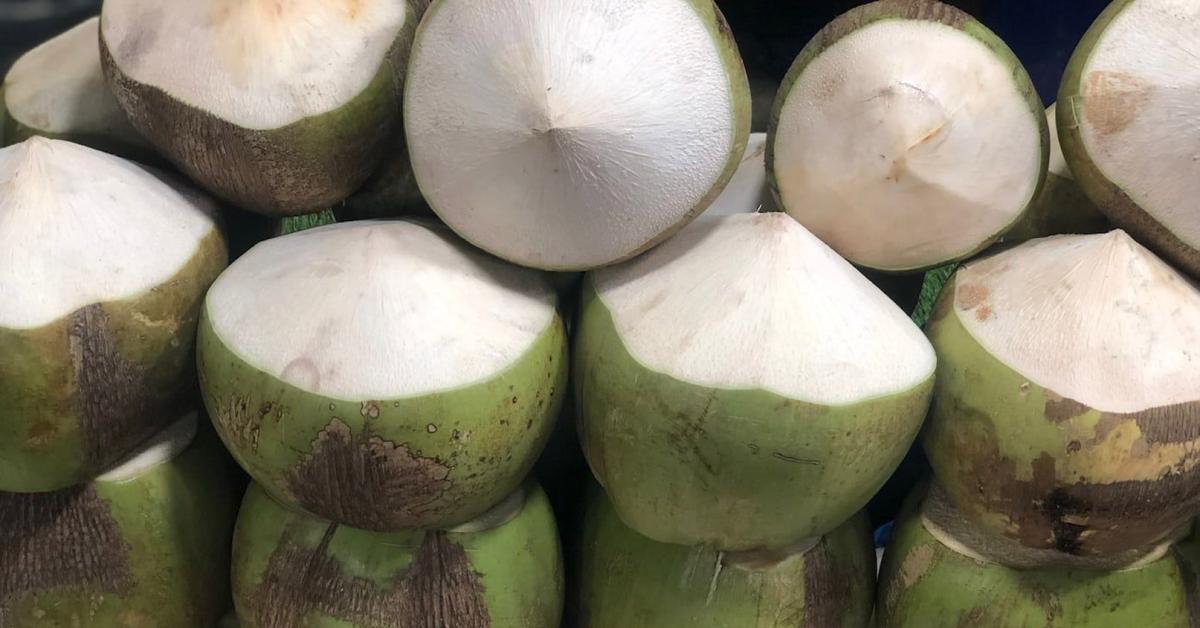 Inilah Manfaat Yang Sangat Bagus Untuk Kesehatan Dibalik Segarnya Air Kelapa Hijau