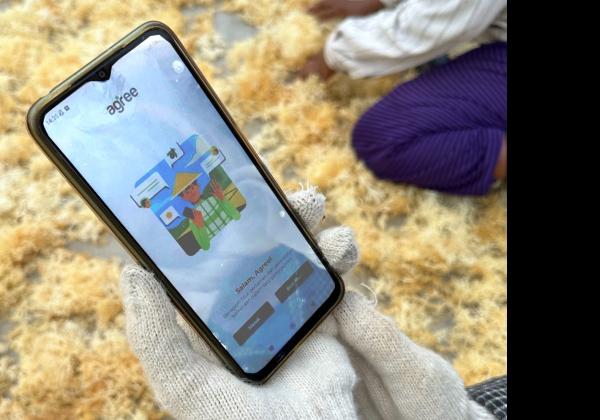 Melalui Kerja Sama dengan Agree, Hasil Budi Daya Rumput Laut di NTT Raih Total Transaksi Rp12 Miliar