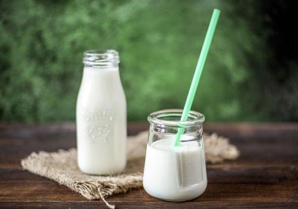 Manfaat Minum Susu Kerbau Fermentasi Menurut dr. Zaidul Akbar