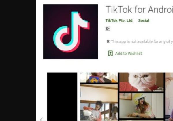 Baru! Nonton TikTok di TV, Ini Link Download dan Cara Login di Android TV