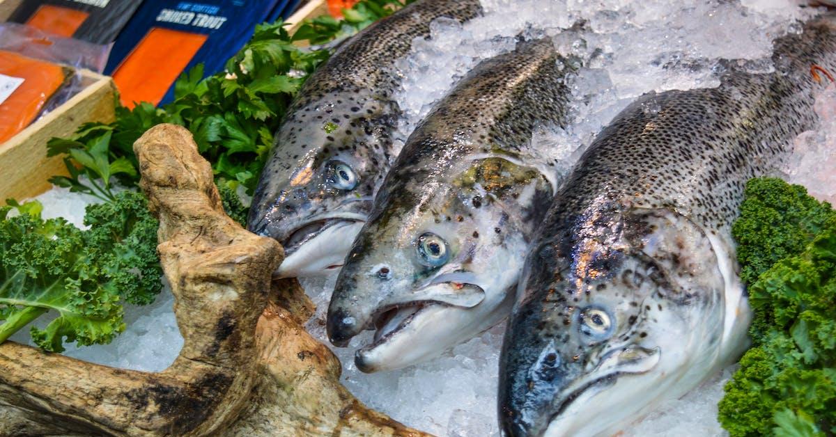 Jangan Digoreng, Ini 5 Cara Memasak Ikan yang Paling Sehat Tanpa Menghilangkan Nutrisi 