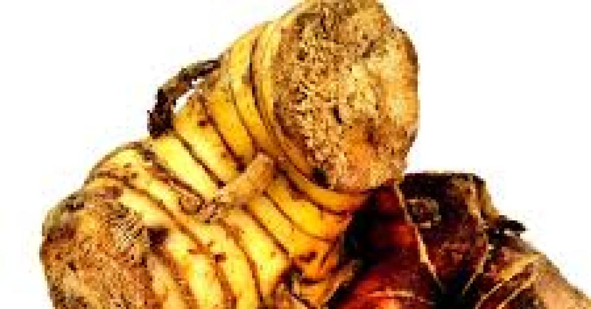 Keajaiban Lengkuas Sebagai Obat Alami Panu