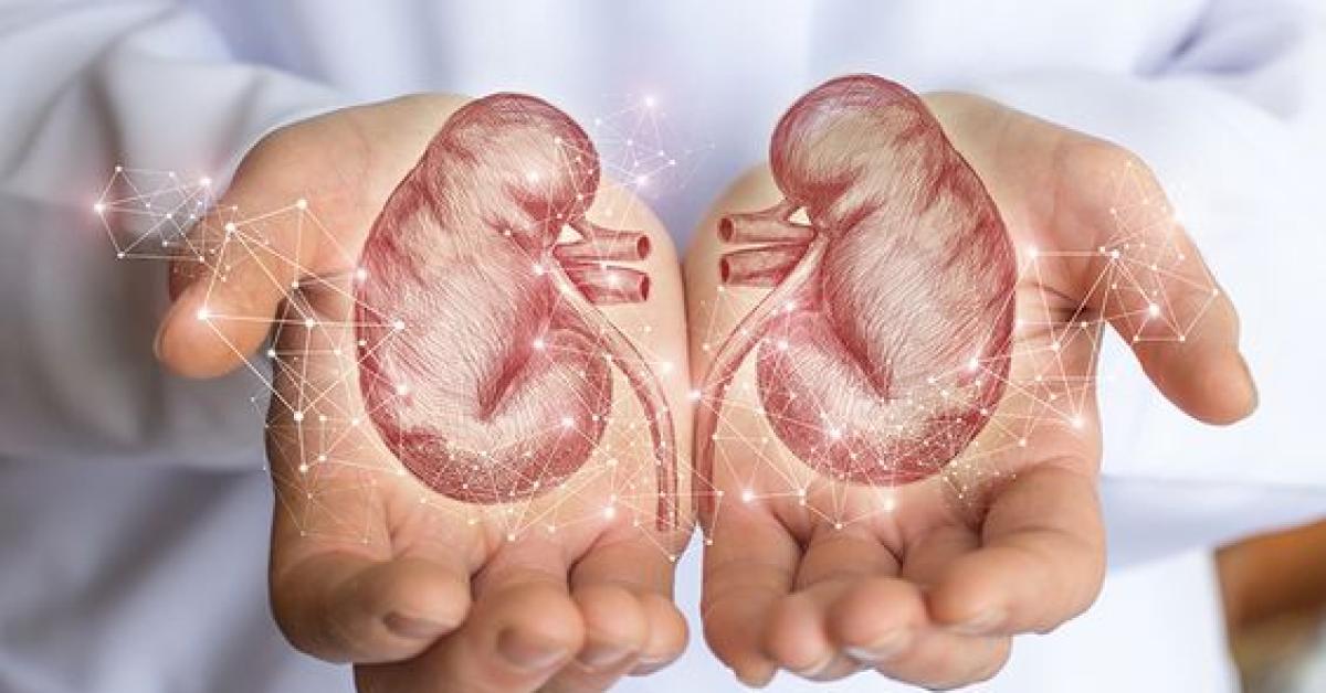 8 Kebiasan Buruk yang Dapat Merusak Ginjal, Stop Mulai Sekarang!