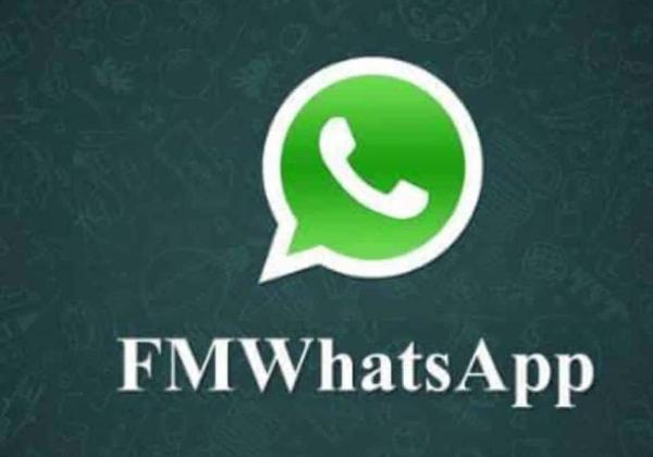 Link Download FM WhatsApp Apk Terbaru, GB WA Mod Paling Stabil dan Diburu