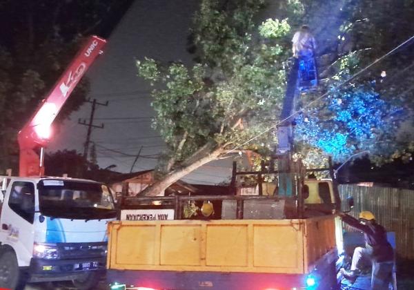 Gerak Cepat PLN Pulihkan Kelistrikan Pekanbaru Akibat Terjangan Hujan Badai