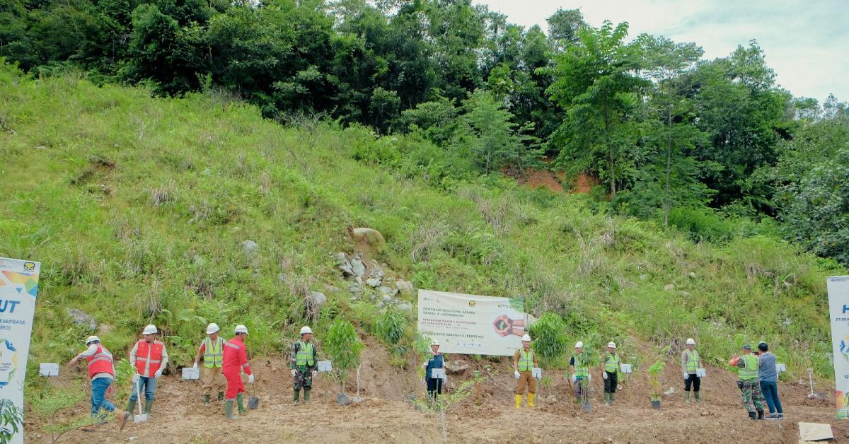 Lewat Anak Usahanya, Brantas Abipraya Tanam Bibit Pohon di Padang Guci