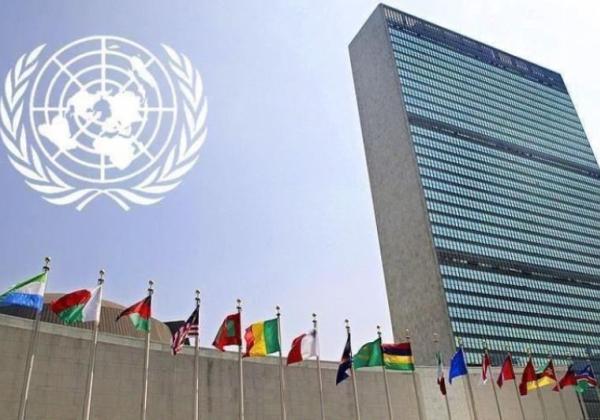 Pelapor Khusus PBB Usulkan Embargo Senjata terhadap Israel sebagai Respons Serangan di Jalur Gaza
