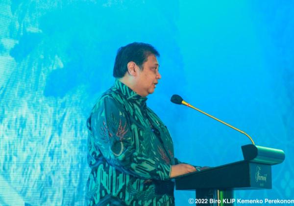 Arahan Presiden ke Menko Airlangga, Prioritaskan Pengembangan Energi Baru Terbarukan