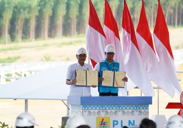 Kolaborasi PLN dan Otorita IKN Siapkan Green National Capital City di IKN Nusantara