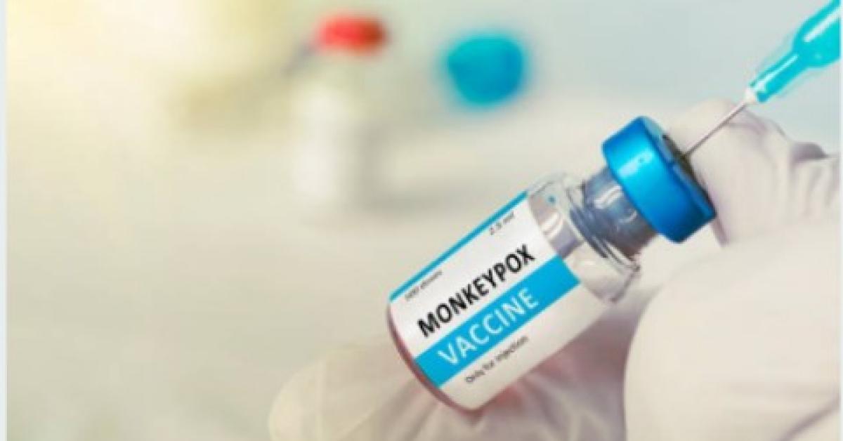 Cara Hadapi Cacar Monyet: Pencegahan dan Pengobatan Monkeypox yang Tepat 