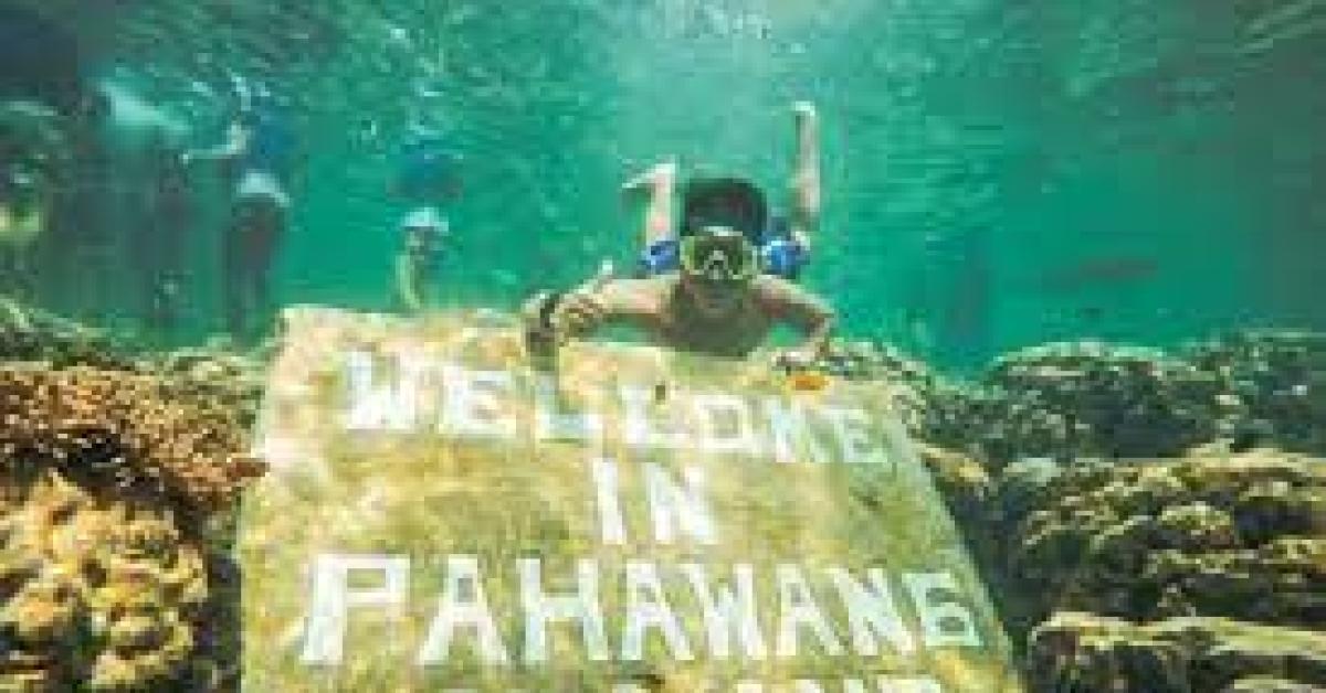 Berikut 5 Spot Snorkeling di Provinsi Lampung Yang Penuh Terumbu Karang Indah