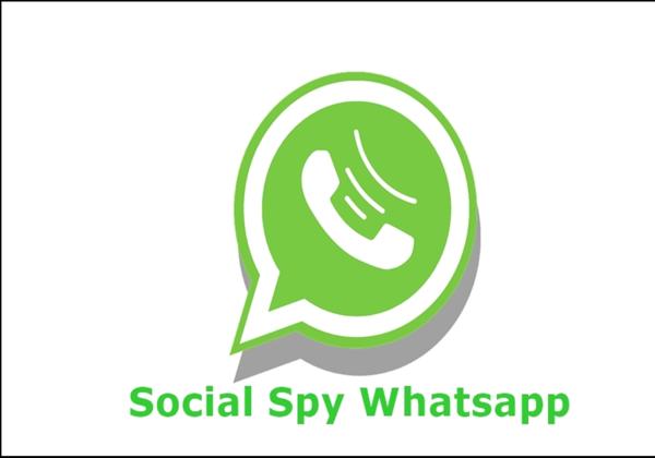 Cara Pasang Social Spy WhatsApp di Handphone, Aplikasi Sadap WA Tanpa Ketahuan Korban 
