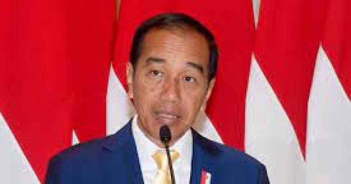 Presiden Jokowi Mendadak  Panggil Pengurus PAPDESI Ke Istana Negara di Jakarta, Apa yang Dibahas?
