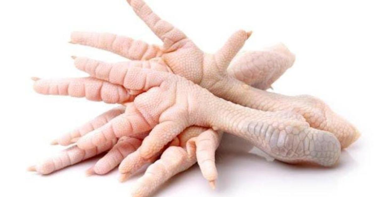Mengeksplorasi Manfaat Nutrisi dan Efek Samping Konsumsi Ceker Ayam dalam Keseharian Anda