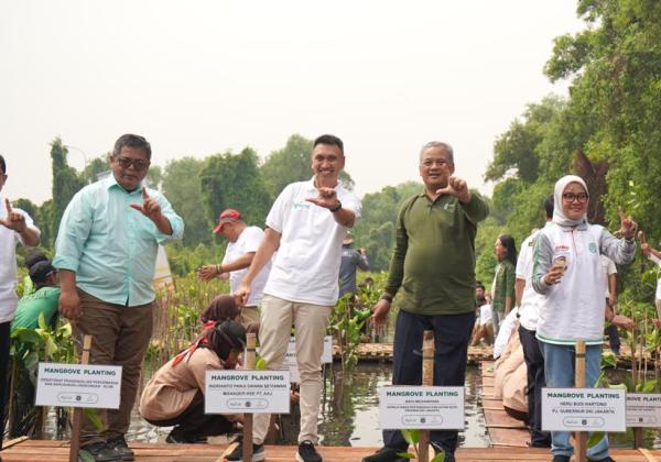 Peringati Hari Mangrove Sedunia, Apical Percepat Perlindungan Ekosistem dengan Penanaman 3.000 Pohon Mangrove 