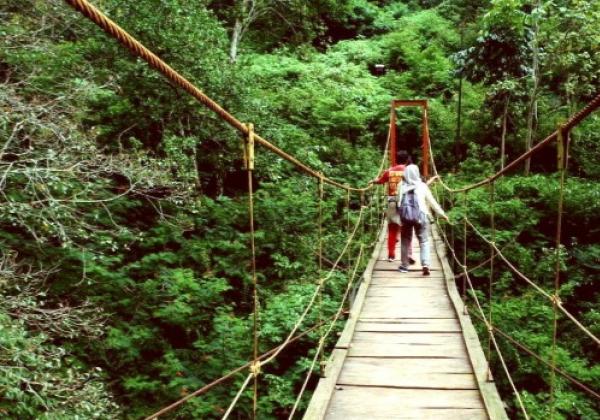 6 Destinasi Wisata Alam di Bandung Terpopuler 2024:Pesona Cakrawala yang Memukau