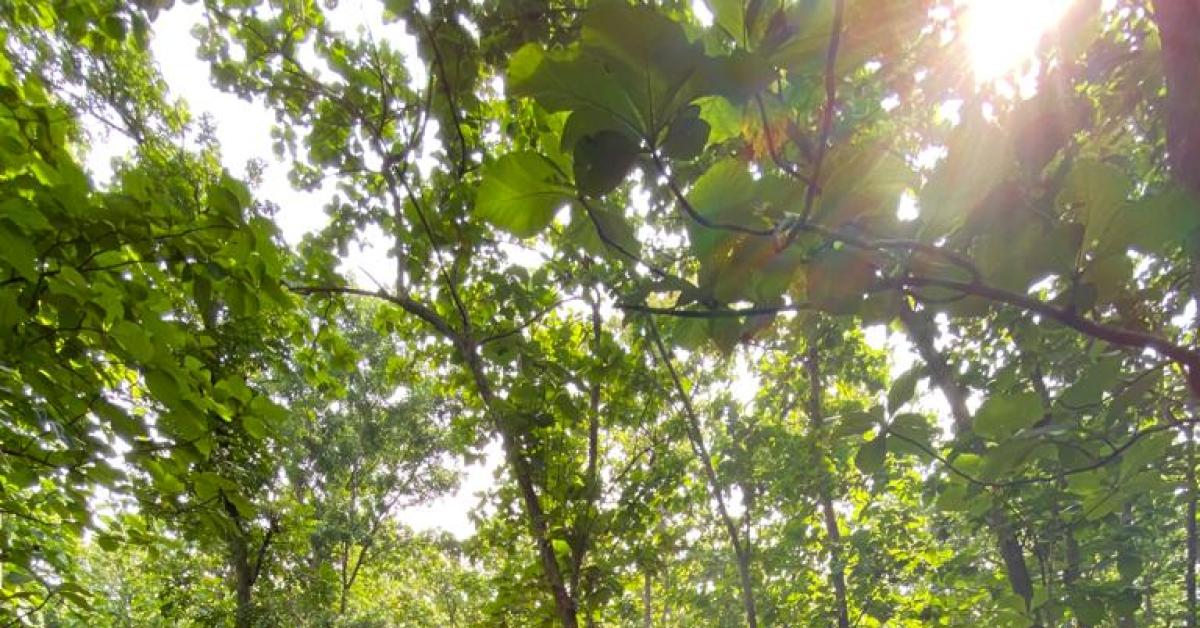 Wajib Dicoba, Pacu Adrenalin Dengan Paket Wisata Tour Off-Road Semarang Zoo
