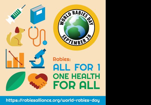 Apa kata Guru Besar Esa Unggul Tentang Hari Rabies Sedunia 2023