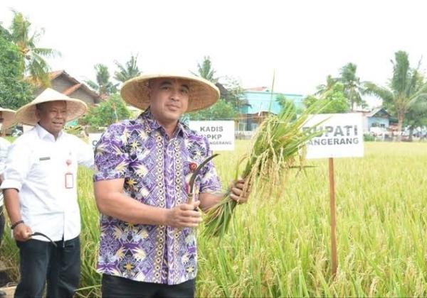 Integrated Farming System Jadi Jurus Pemkab Tangerang, Tingkatkan Ekonomi Masyarakat di Sektor Pertanian