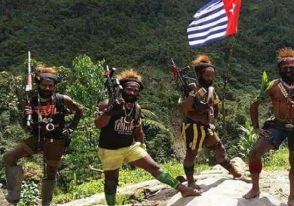 Tumpas KKB Papua Seperti MIT Poso, MPR: Harus Segera Dilakukan