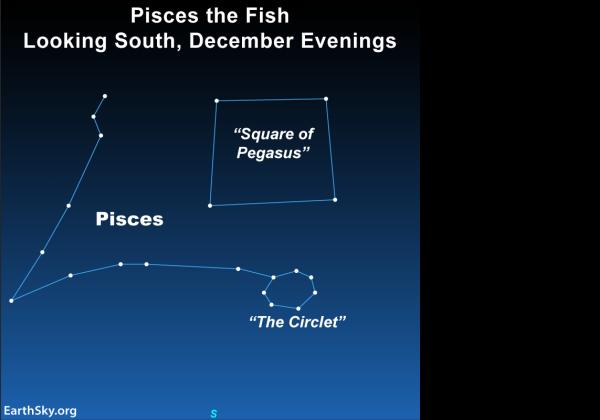 Petualangan Misterius Pisces di Bulan Maret: Ramalan Bintang yang Penuh Kejutan!