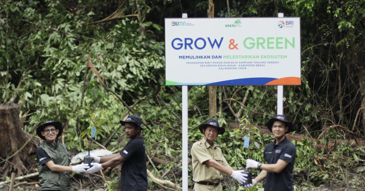 BRI Peduli Grow & Green Salurkan 2.500 Bibit Pohon Durian di Berau 