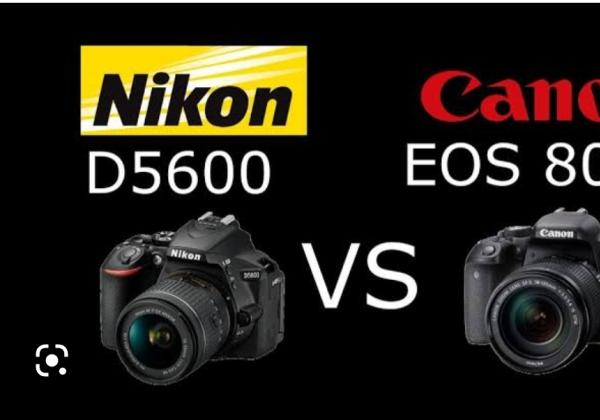 Nikon D5600 vs Canon 800D Bagusan Mana? Baca Nih Biar gak Salah Pilih! 