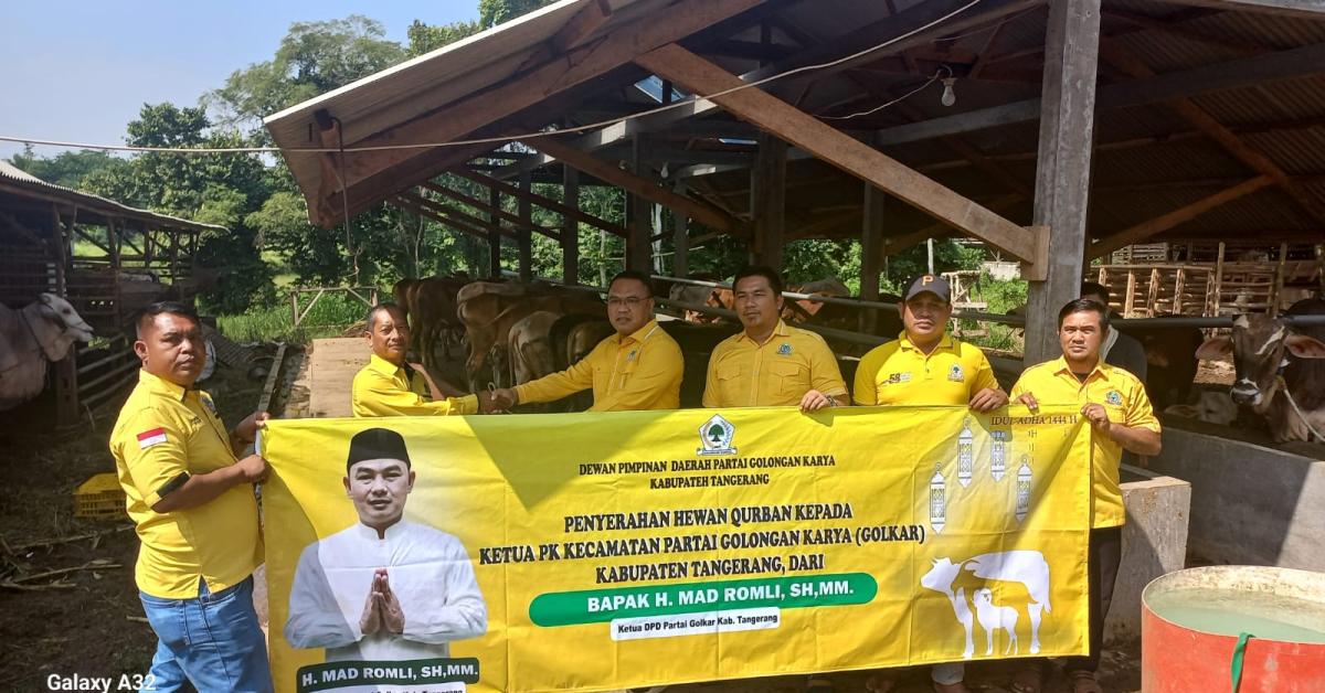 Golkar Kabupaten Tangerang Bagikan Sapi dan Kambing