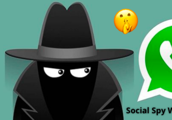 Cara Login Social Spy WhatsApp dan Cara Sadap Isi WhatsApp Orang Lain Tanpa Ketahuan