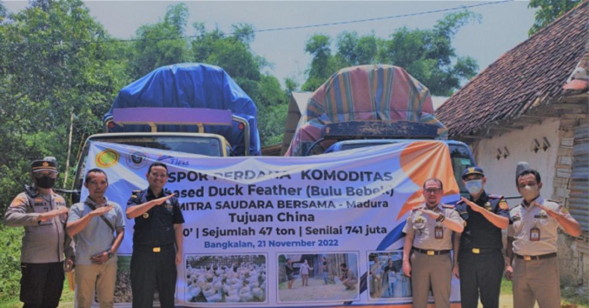 Bea Cukai Lepas Ekspor Perdana 47 Ton Bulu Bebek dari Madura