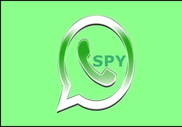 Link Download Social Spy Whatsapp dengan Cara Log In, Aplikasi Penyadap WA yang Mampu Sadap WA Jarak Jauh