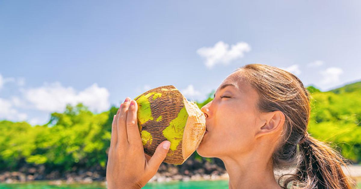 Simak 4 Manfaat Buah Kelapa Hijau, Segera Cek Untuk Kesehatan Kamu 