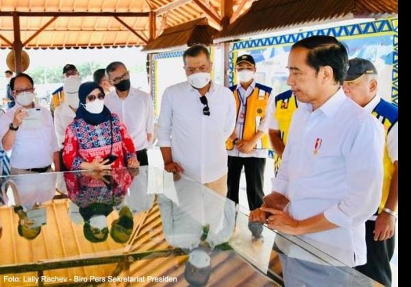 Presiden Jokowi Kunjungi  Proyek Bendungan Sepaku Semoi Garapan Brantas Abipraya