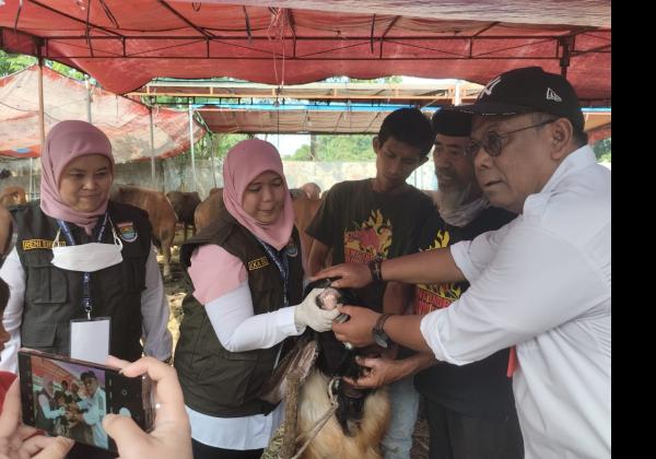 Tinjau Lapak Penjual, DPKP Ingin Pastikan Hewan Kurban di Kabupaten Tangerang Aman di Konsumsi