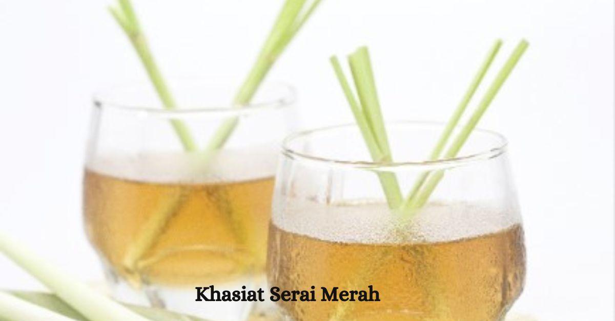 Khasiat Serai Merah: Ramuan Alami untuk Kesehatan yang Luar Biasa