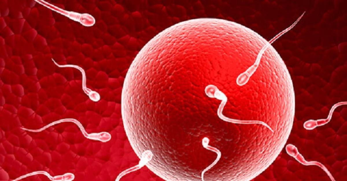 Banyak Perempuan di Korsel Bekukan Sel Telur, Ini Penyebabnya