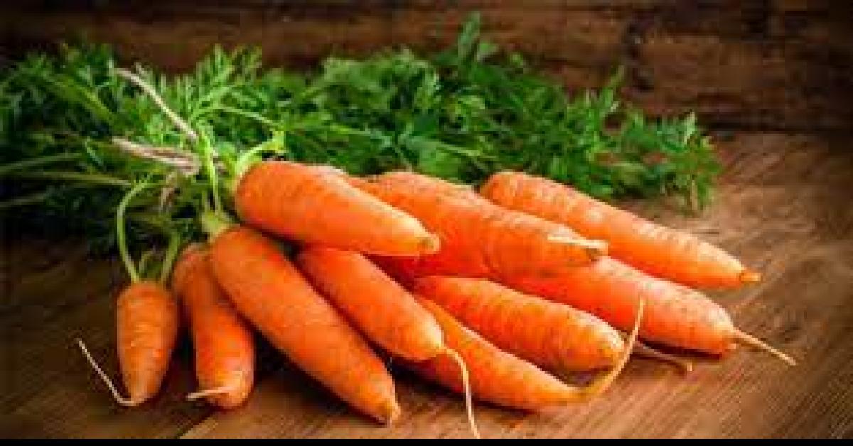 Berikut 9 Fakta Sayur Wortel Selain Untuk Mata, Yuk Intip Apa Saja
