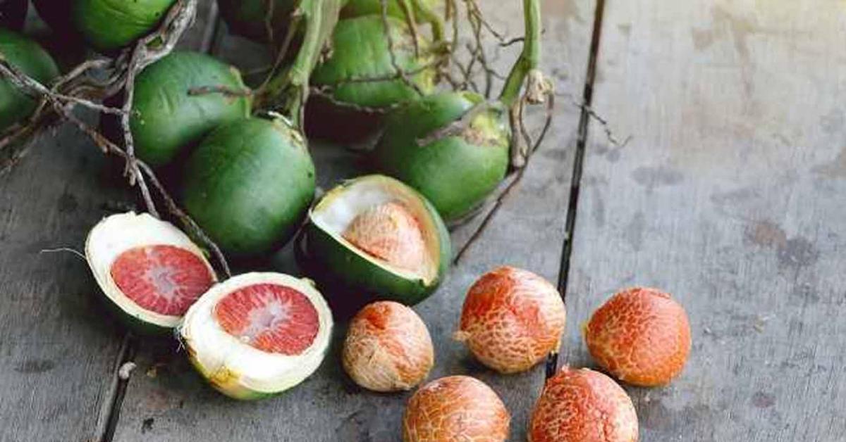 Buah Pinang: Kekayaan Alam yang Terlupakan dengan Banyak Manfaat