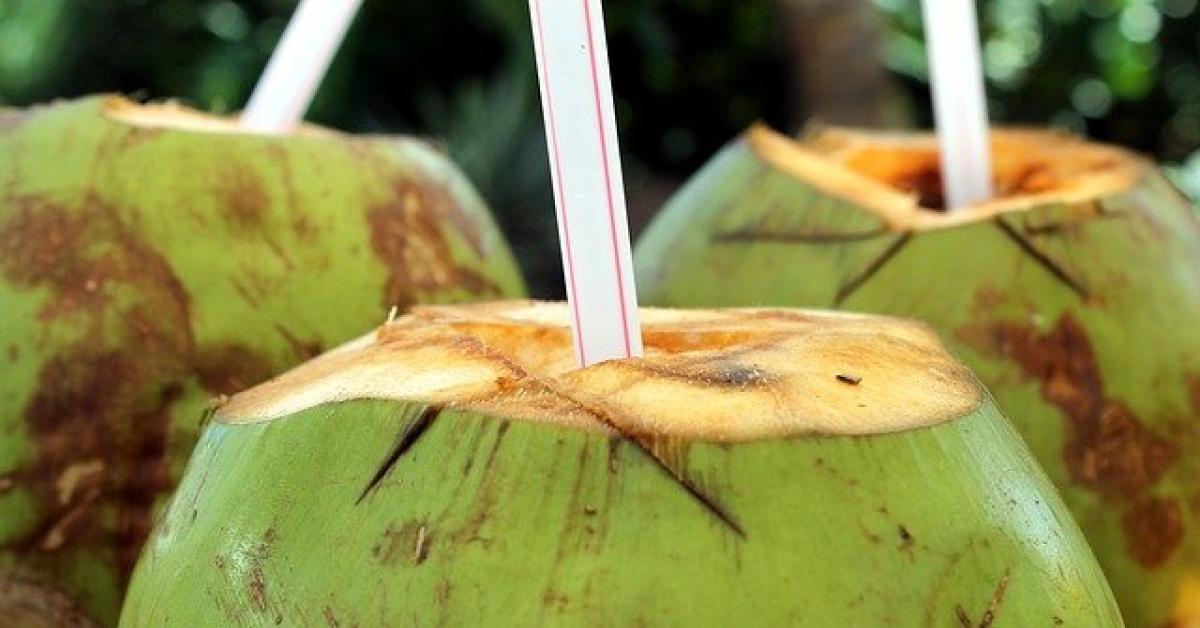 Manfaat Air Kelapa untuk Wanita, Dapat Meningkatkan Kesuburan